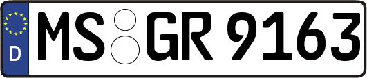 MS-GR9163
