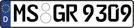 MS-GR9309