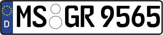 MS-GR9565