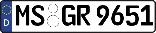 MS-GR9651