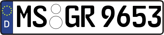 MS-GR9653