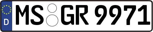 MS-GR9971