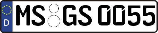 MS-GS0055