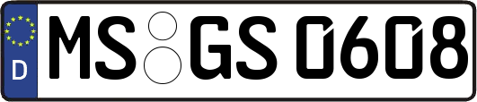 MS-GS0608