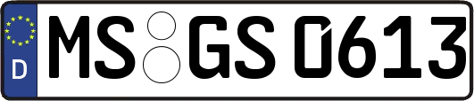 MS-GS0613
