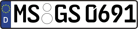 MS-GS0691