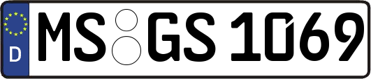 MS-GS1069