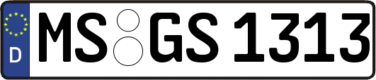 MS-GS1313