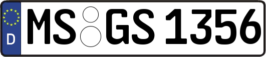 MS-GS1356