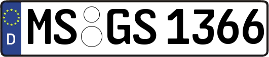 MS-GS1366