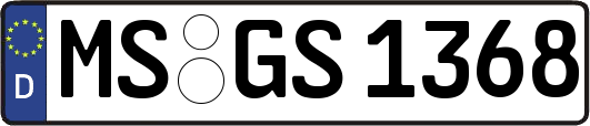 MS-GS1368