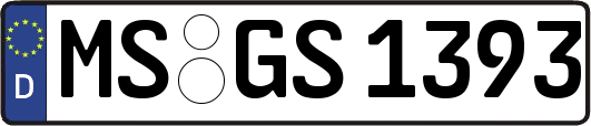 MS-GS1393