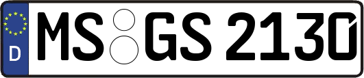 MS-GS2130