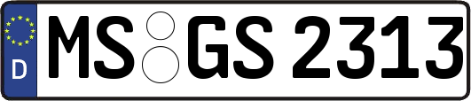 MS-GS2313