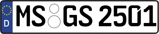 MS-GS2501