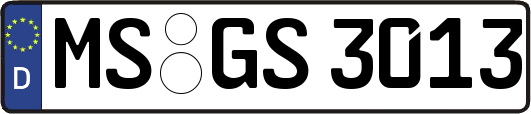 MS-GS3013