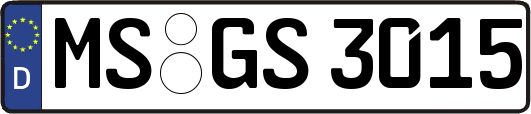 MS-GS3015