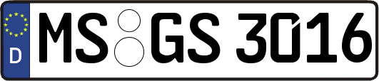 MS-GS3016