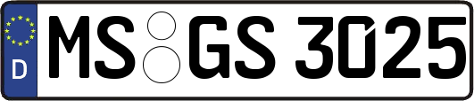 MS-GS3025