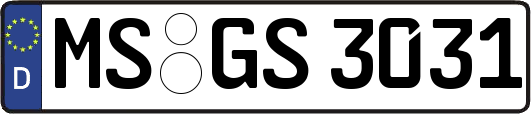 MS-GS3031