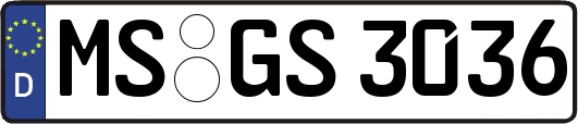 MS-GS3036