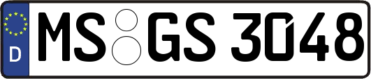 MS-GS3048