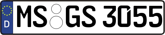 MS-GS3055