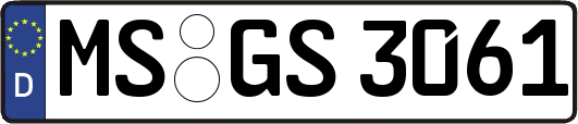 MS-GS3061