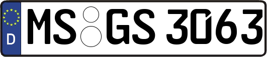 MS-GS3063
