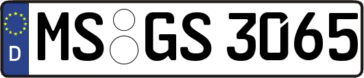 MS-GS3065