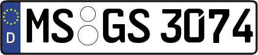 MS-GS3074