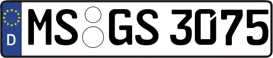 MS-GS3075