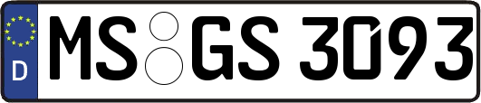 MS-GS3093