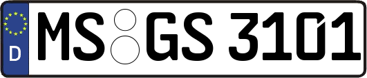 MS-GS3101