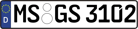 MS-GS3102