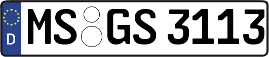 MS-GS3113