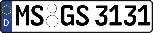 MS-GS3131
