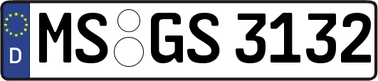 MS-GS3132
