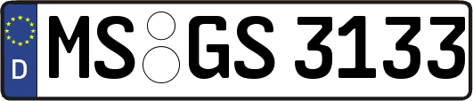 MS-GS3133