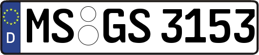MS-GS3153