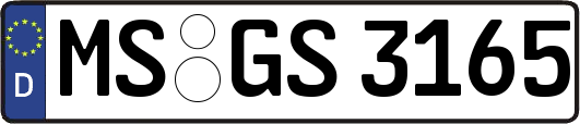 MS-GS3165