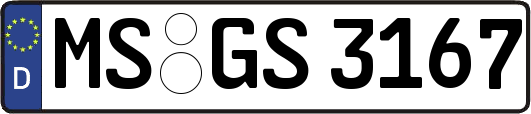 MS-GS3167