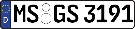MS-GS3191