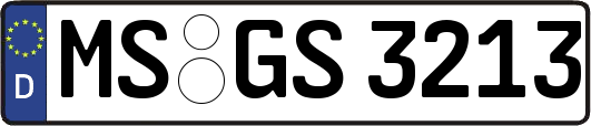 MS-GS3213