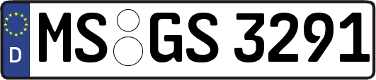 MS-GS3291