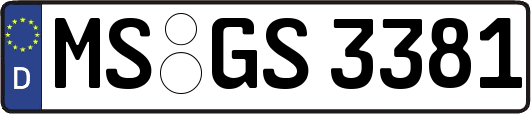 MS-GS3381