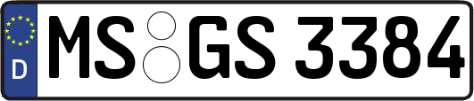 MS-GS3384
