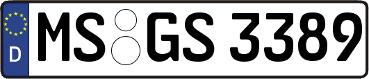 MS-GS3389