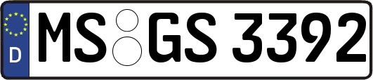 MS-GS3392