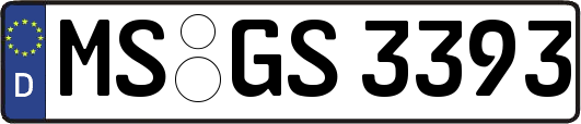 MS-GS3393